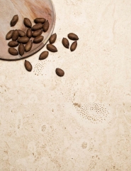 Ceramica Mayor Coralina