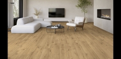 Progetto Baucer Canazei