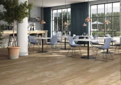 Rak Ceramics Line wood
