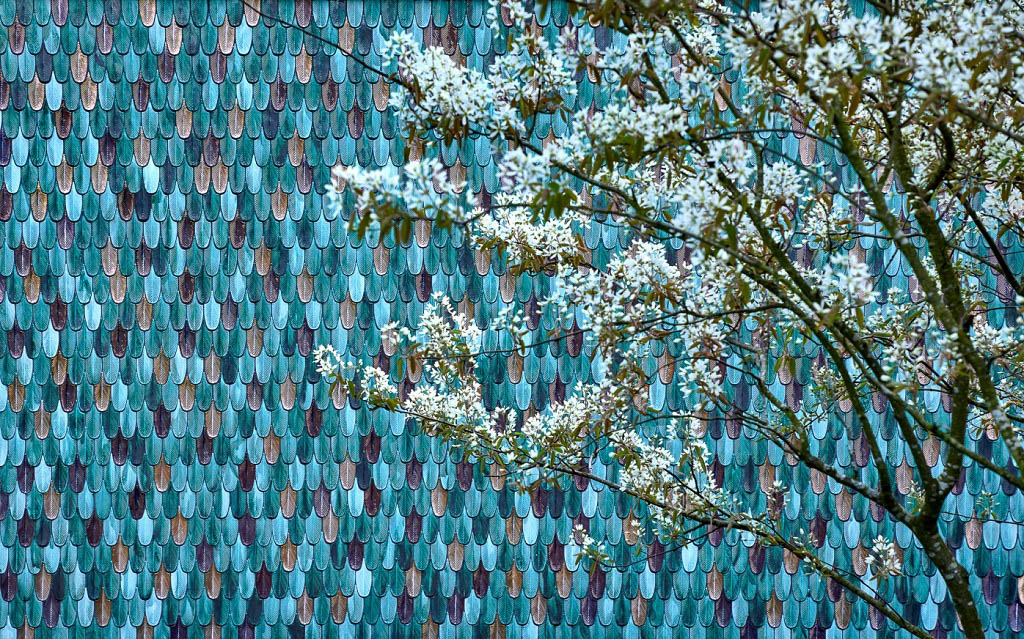 botteganove-plumage-1.jpg