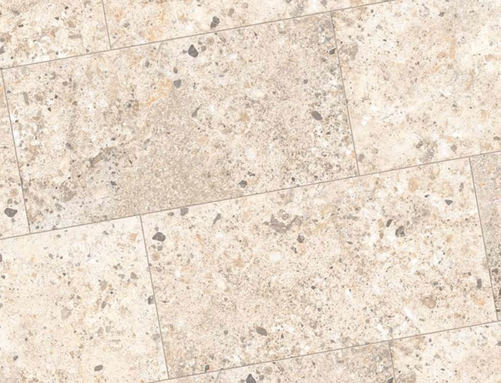 mediterranea_fossil_3.jpg
