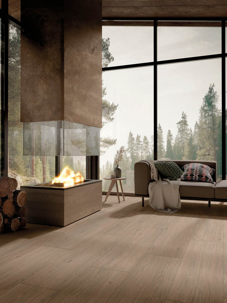 mgm_forest_1.jpg