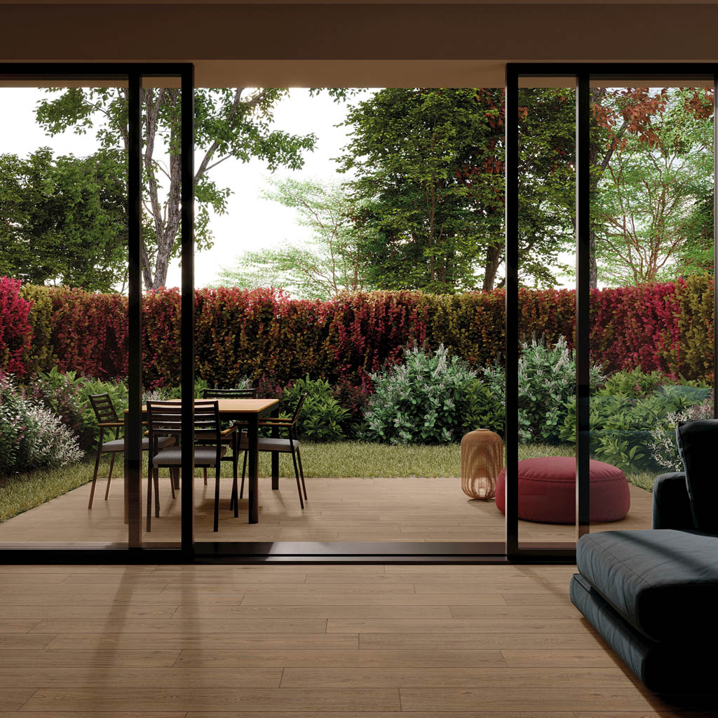 mgm_forest_4.jpg