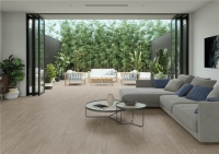 alaplana_larix_1.jpg