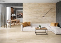 alaplana_oakland_3.jpg