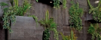 azteca2017_104