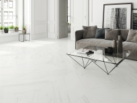 baldocer2019_781
