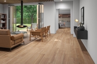 cinca_timber_1.jpg