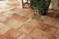 ermes-cotto4.jpg