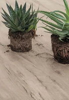 Laminam Legno Venezia Kőhatású járólap 