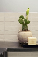 marazzi2018_258