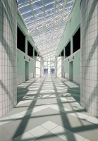 marazzi713