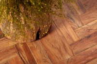 peronda-fsforest2.jpg