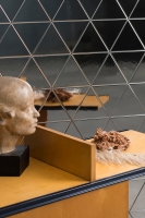 petracer_triangolo_3.jpg