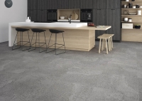 porcelanicoshdc_fossil_1.jpg