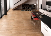 porcelanicoshdc_guayaba_2.jpg