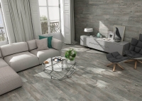 porcelanicoshdc_guayaba_3.jpg