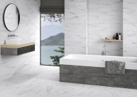 porcelanicoshdc_michelangelo_2.jpg