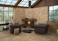 porcelanicoshdc_teide_1.jpg