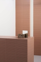 quintessenza_modulo_7.jpg