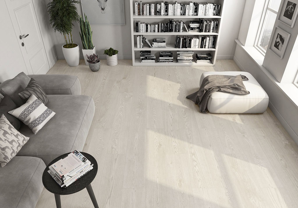 saloni-robur-3.jpg