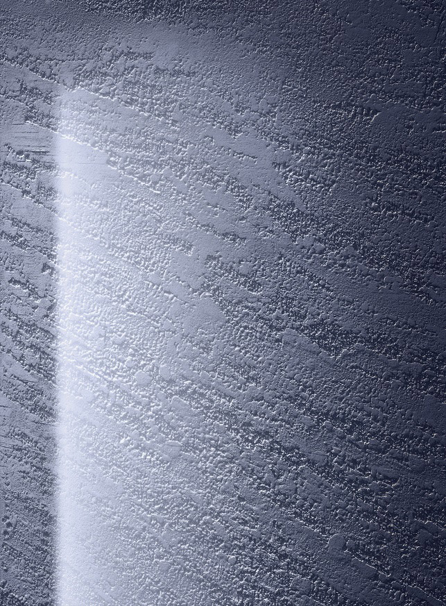 sicis-vetritespatula-2.jpg